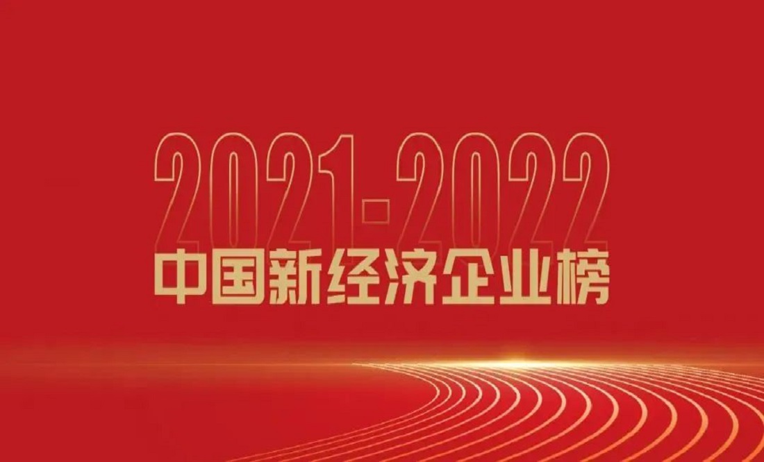 再获殊荣！赛思成功入选融中2021-2022中国新一代信息技术领域最具成长性新经济企业TOP10